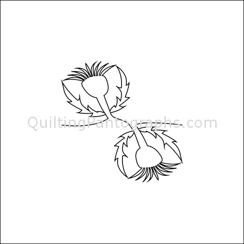 Scottish Thistle - quilting pantograph